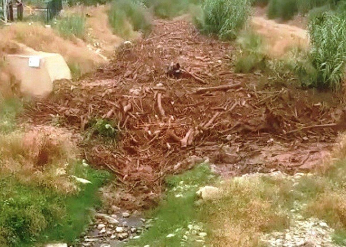 Aydın'da yaşanan selde suların yükseldiği anlar