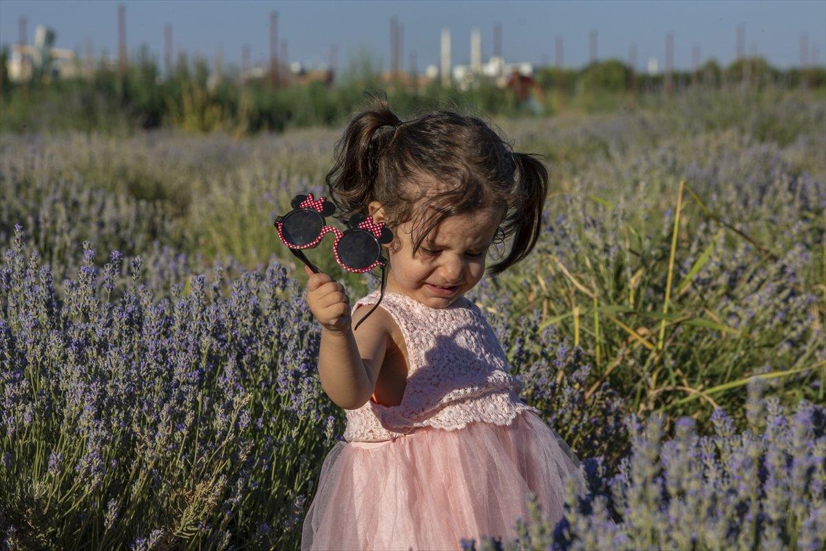 Lavanta bahçeleri ziyaretçisini bekliyor