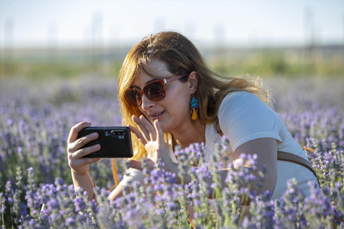 Lavanta bahçeleri ziyaretçisini bekliyor