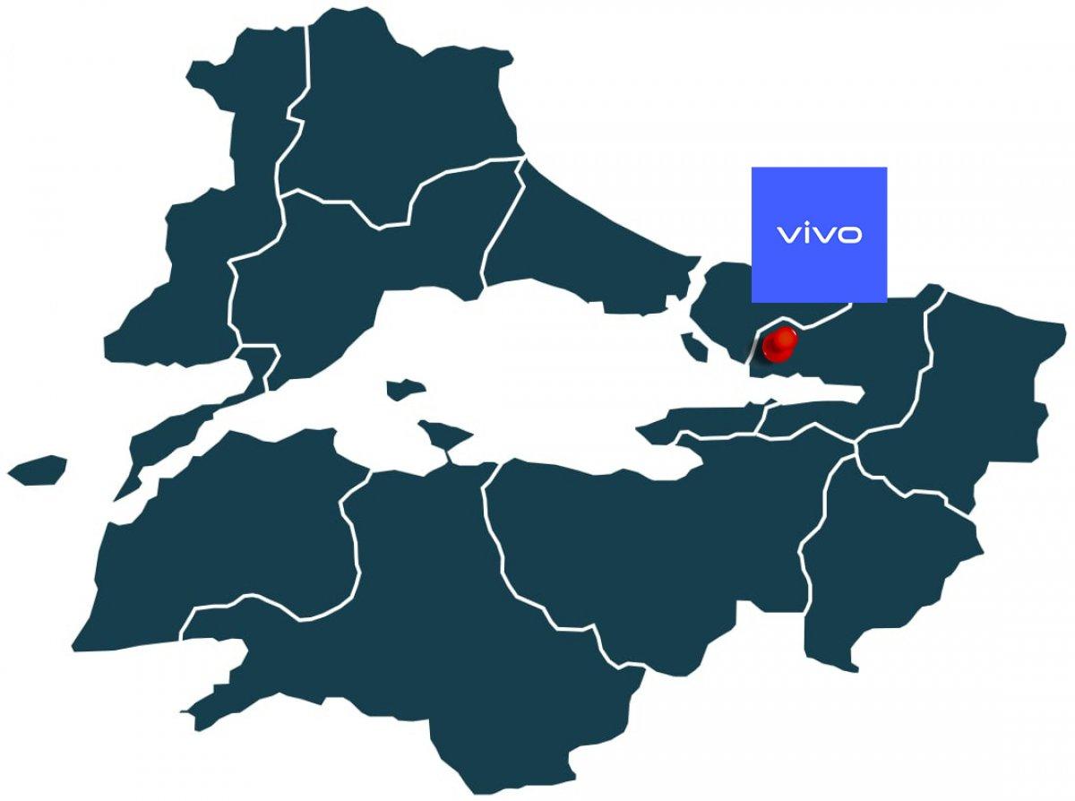 vivo