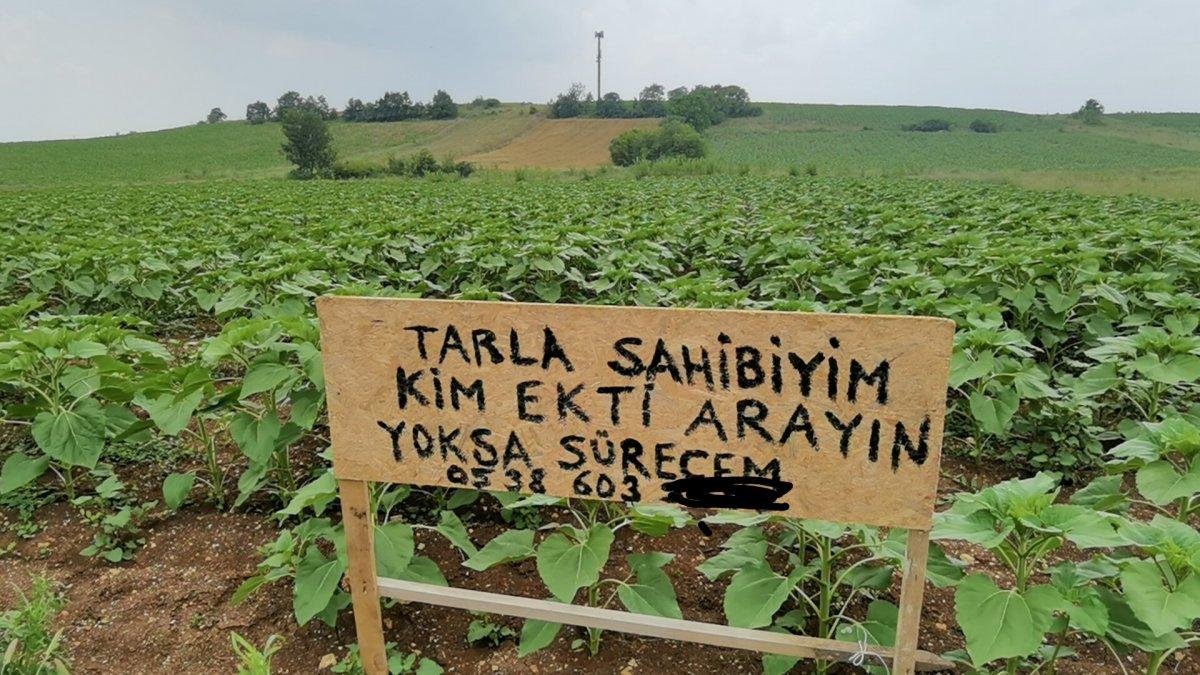 Bursa'da tarlası izinsiz ekildi, koyduğu tabela ile iz sürmeye başladı