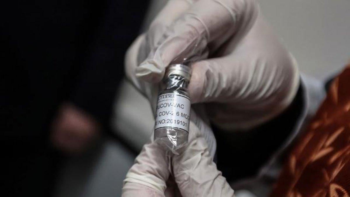 Vac nedir, ne demek? TURKOVAC aşısındaki Vac'ın anlamı nedir?