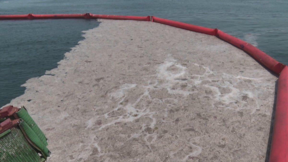 Yalova'da 13 günde toplanan müsilaj miktarı belli oldu