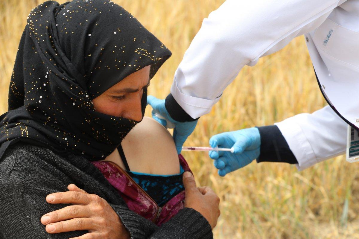 Ankara'da tarım işçilerine tarlada aşı yapıldı