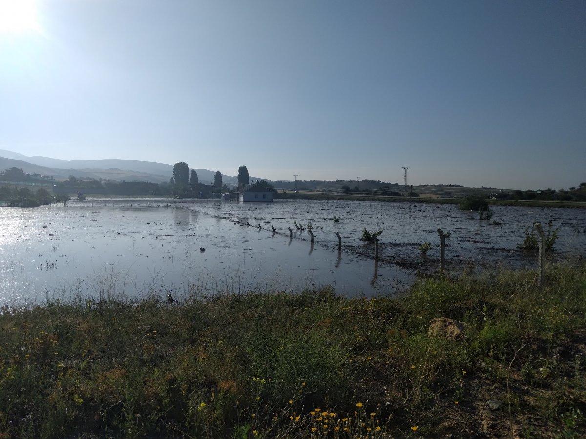 Ankara'da sağanak etkili oldu, dere taştı