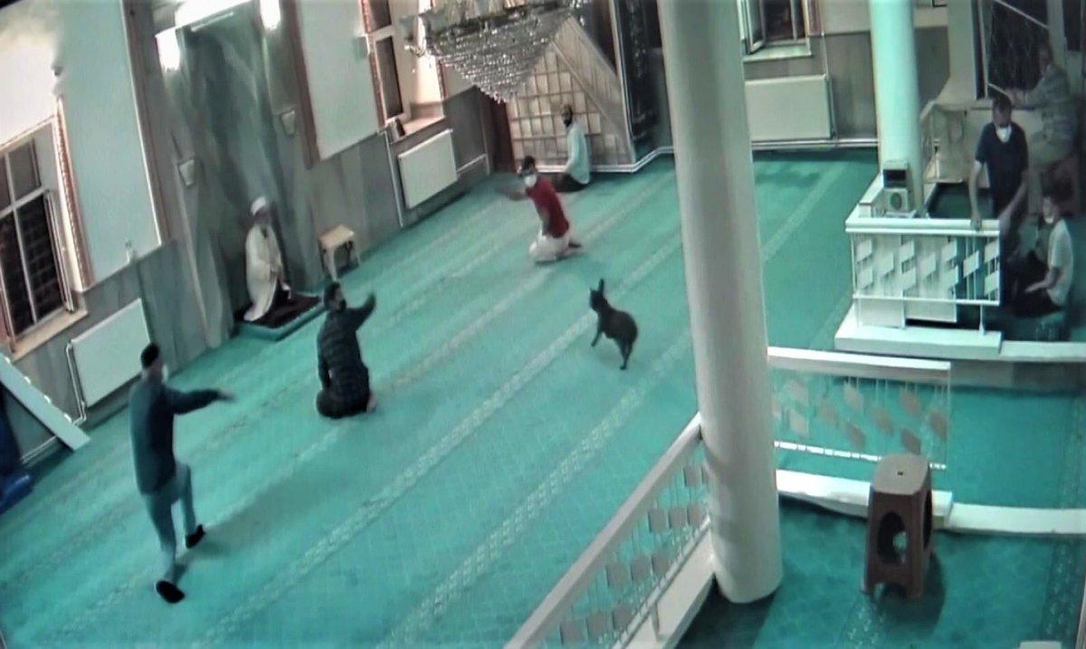 Denizli'de camide hayatlarının şokunu yaşadılar