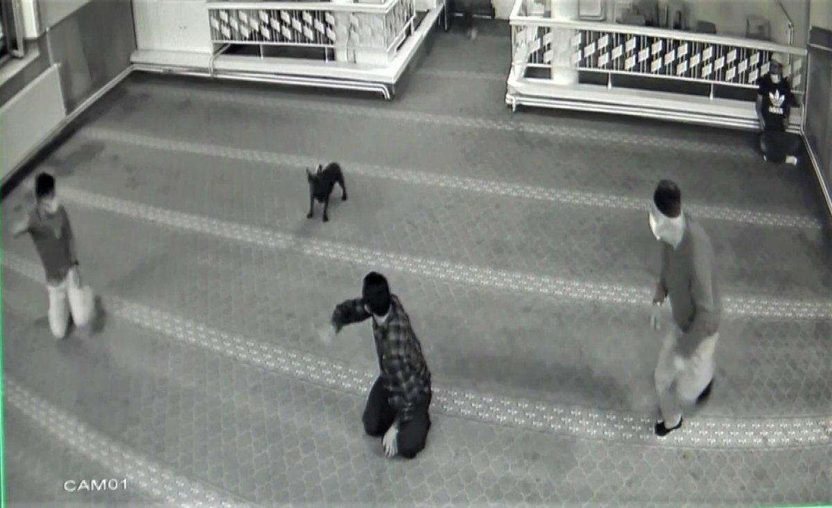 Denizli'de camide hayatlarının şokunu yaşadılar