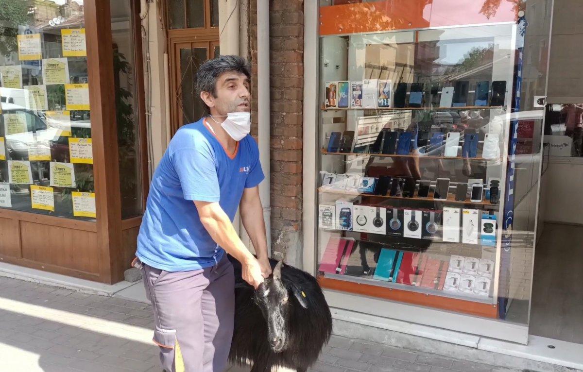 Bursa’da kurbanlık keçi kaçtı, trafik altüst oldu