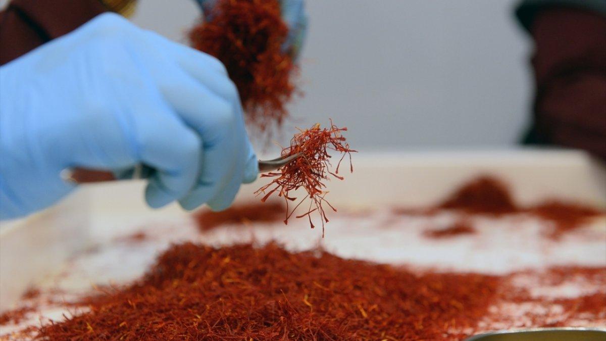 Safranın şaşırtıcı 8 faydası