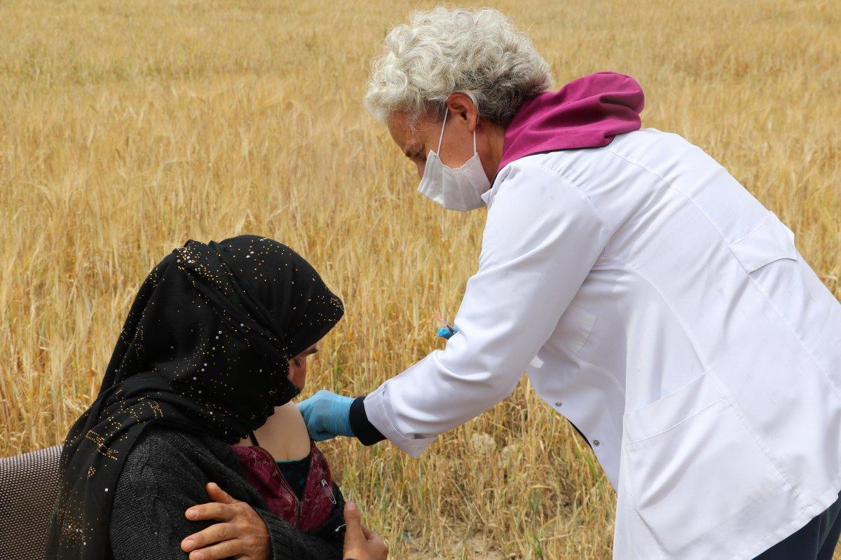 Ankara'da tarım işçilerine tarlada aşı yapıldı