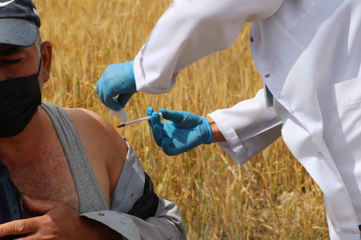 Ankara'da tarım işçilerine tarlada aşı yapıldı