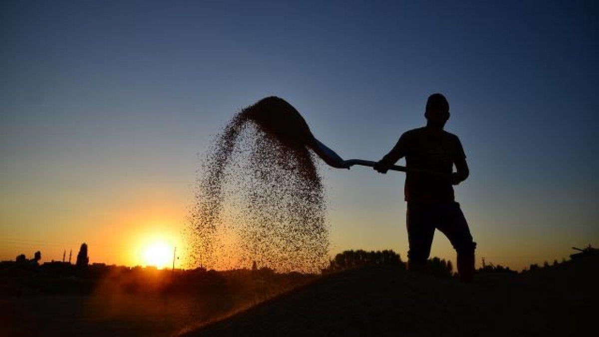 İklim değişikliği ve salgın hastalık insanların alışkanlıklarını değiştirdi