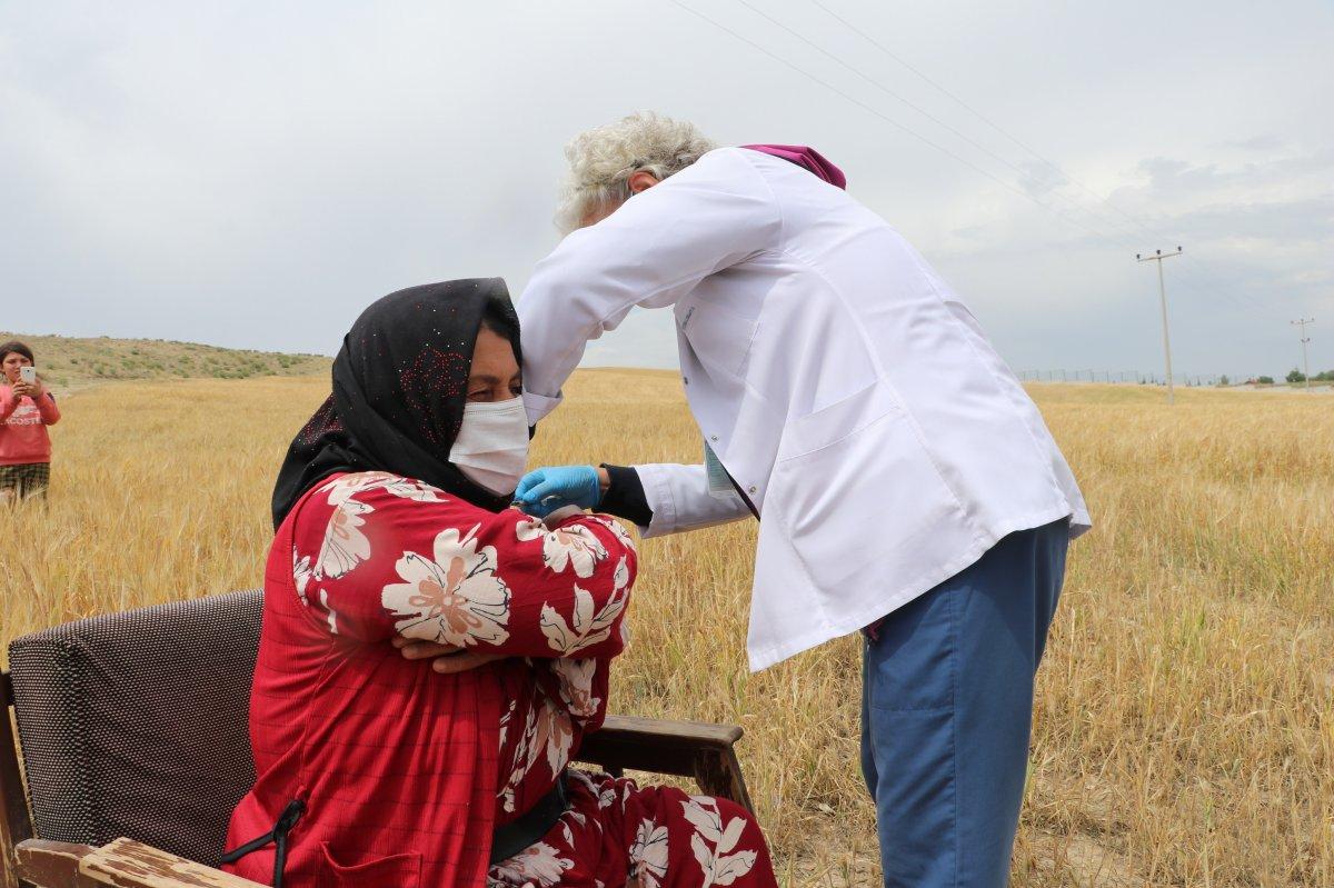 Ankara'da tarım işçilerine tarlada aşı yapıldı