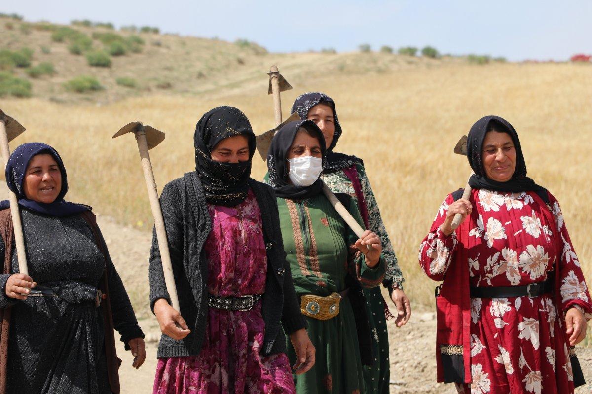 Ankara'da tarım işçilerine tarlada aşı yapıldı