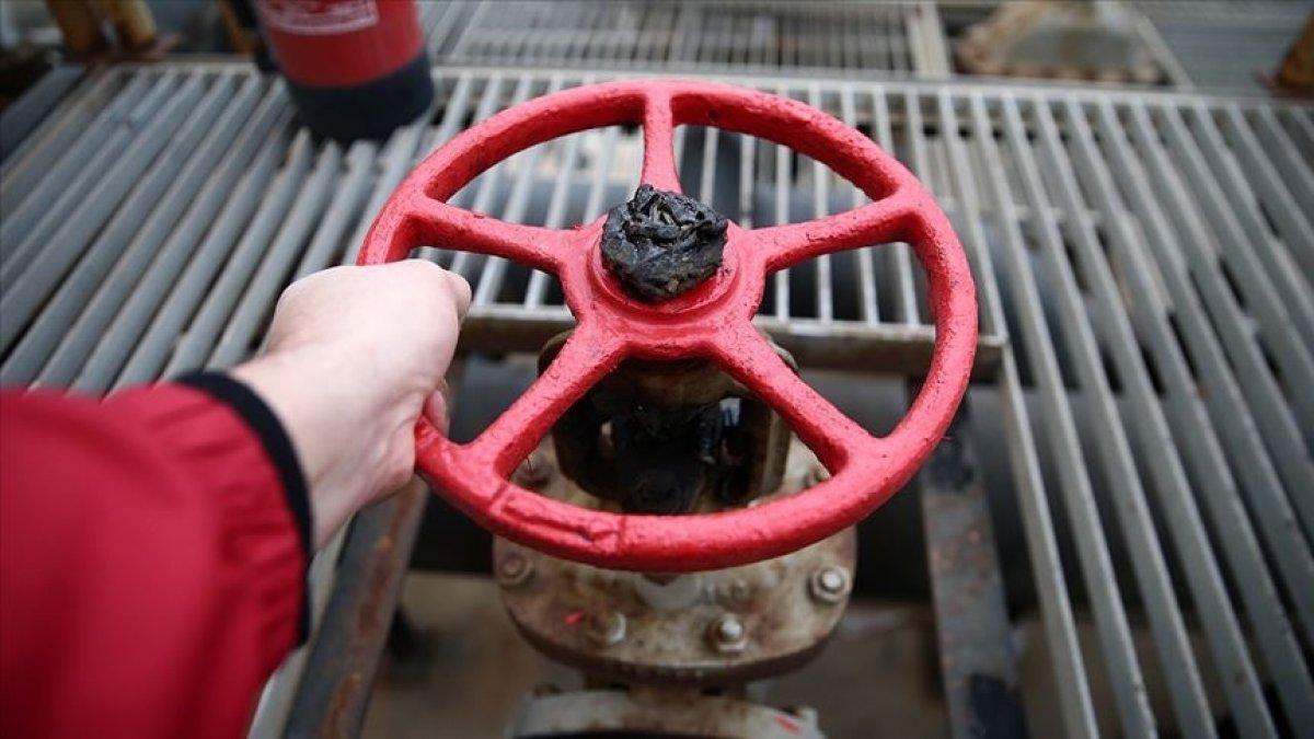 Doğalgaz kaynakları artıyor