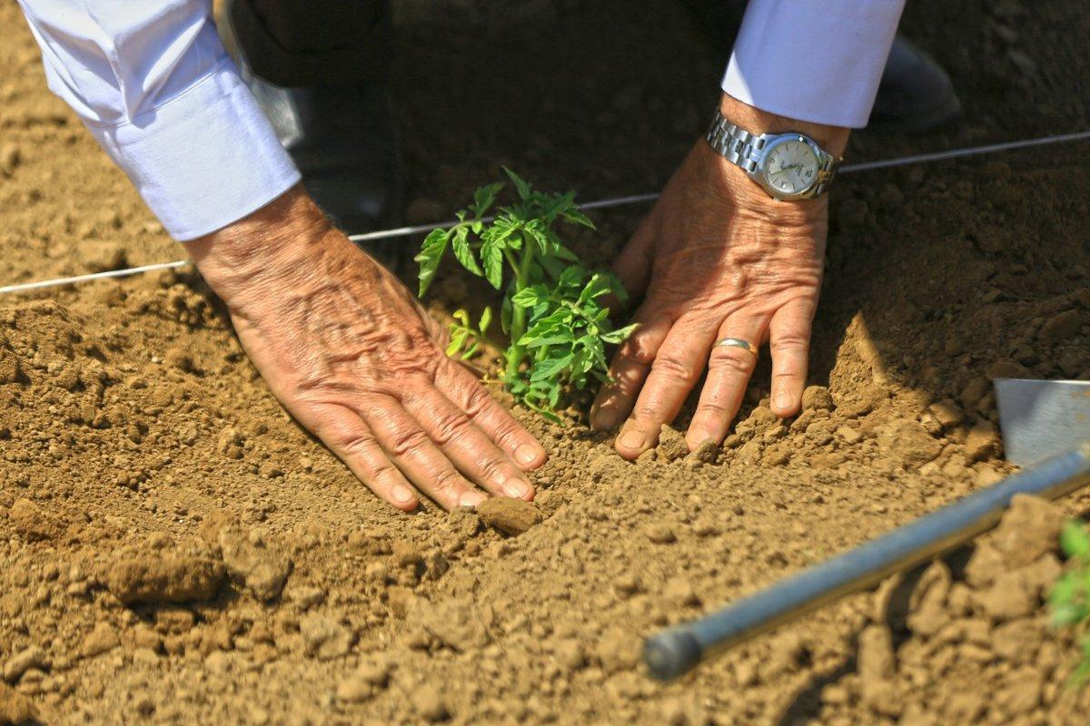 Çiftçi kayıt sistemi başvuruları bekliyor