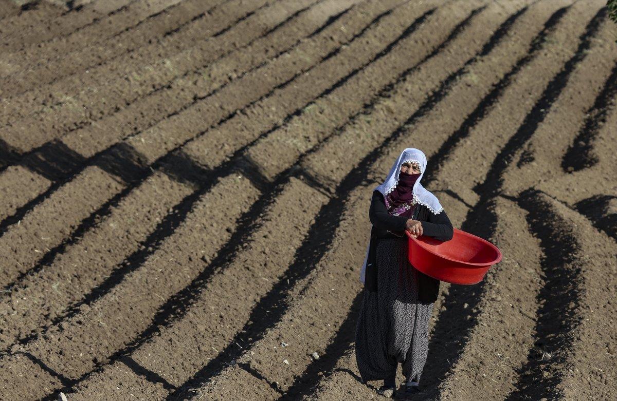 Çiftçi kayıt sistemi başvuruları bekliyor