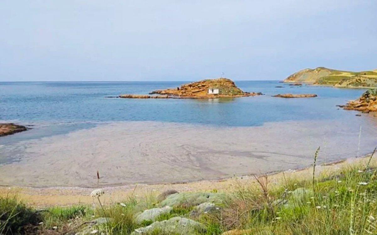 Yunanistan'da müsilaj alarmı