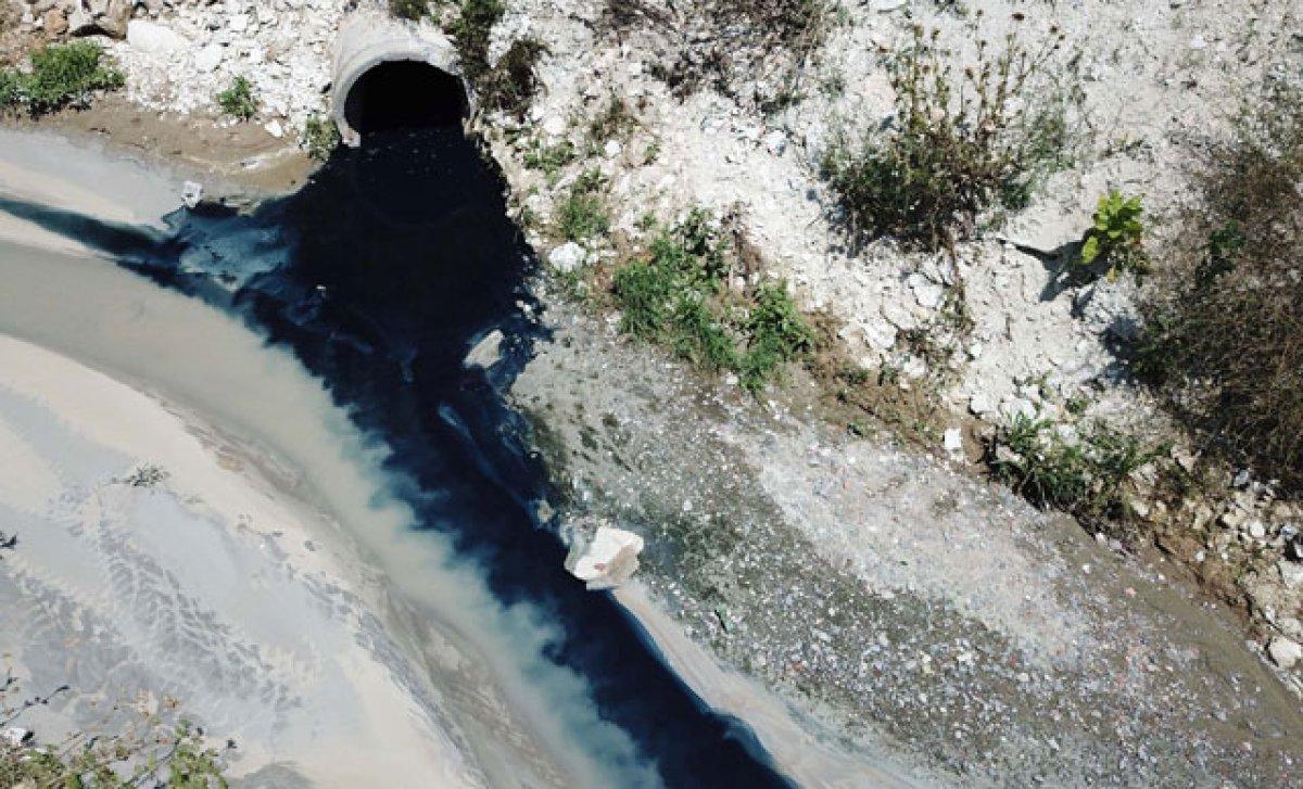 Arnavutköy Şamlar Gölü'ne akan dereye kimyasal atık karıştı