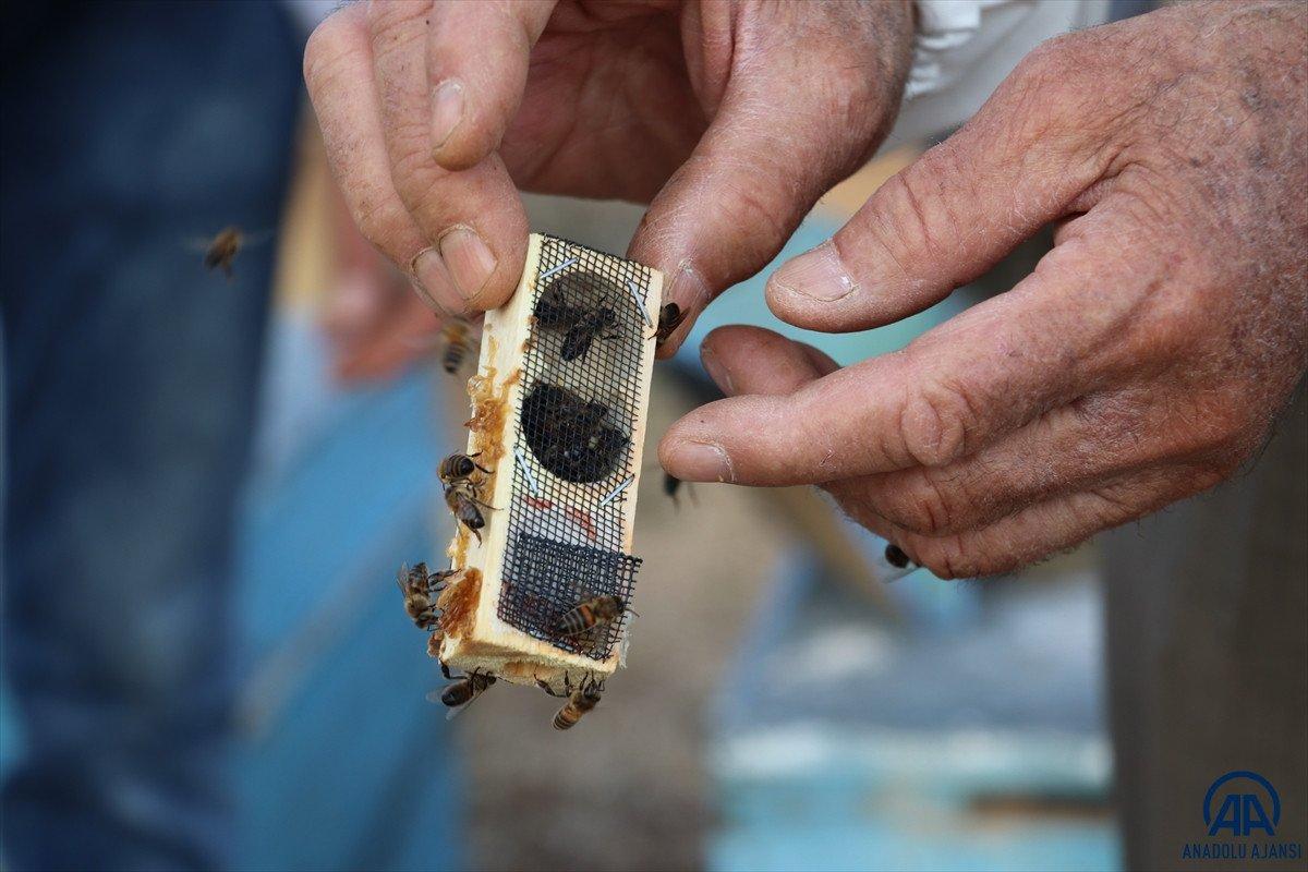 2 bin 973 rakımlı Mereto Dağı'nda 25 yıldır arıcılık yapıyor