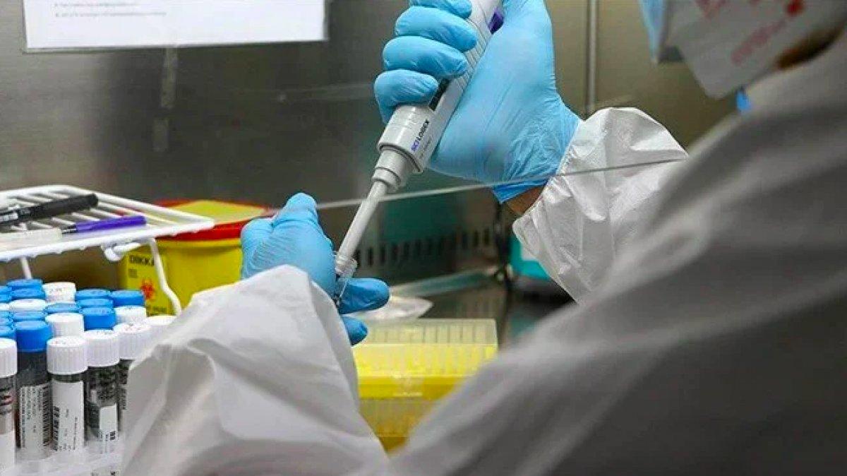 Koronavirüsün kökeni, 20 bin yıl önceye dayanıyor