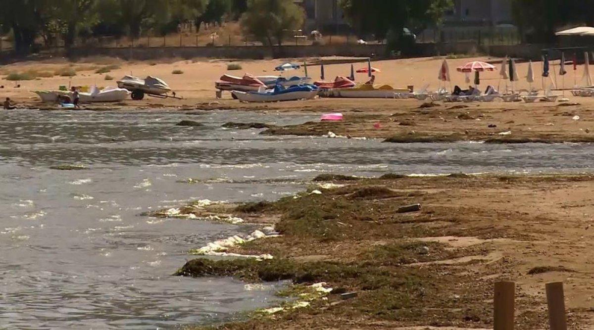 Eğirdir Gölü'ndeki su kaybına dikkat çekmek için: Yamaç paraşütünde klarnet çaldı