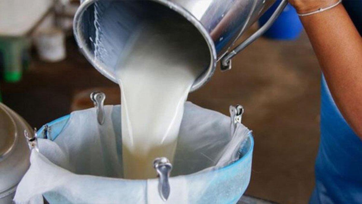 Hamilelikte kaçınılması gereken 14 gıda