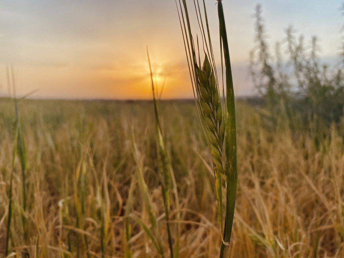 Ağrı'da başka olur gün batımı