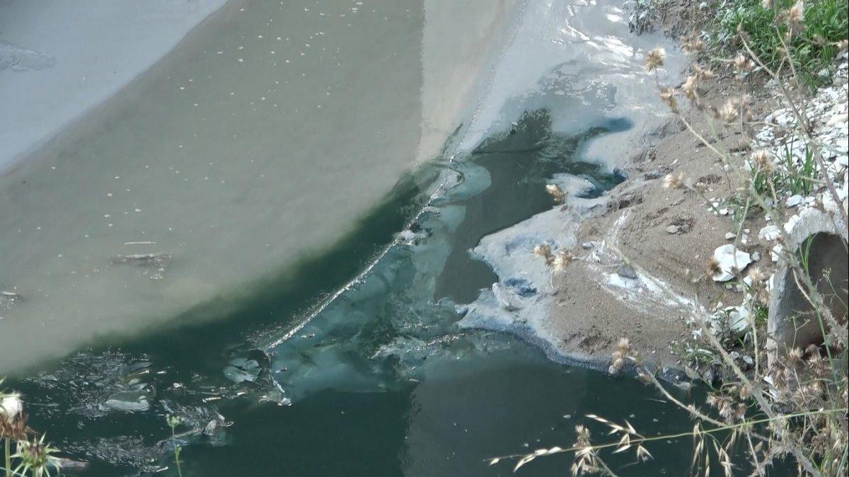 Arnavutköy Şamlar Gölü'ne akan dereye kimyasal atık karıştı