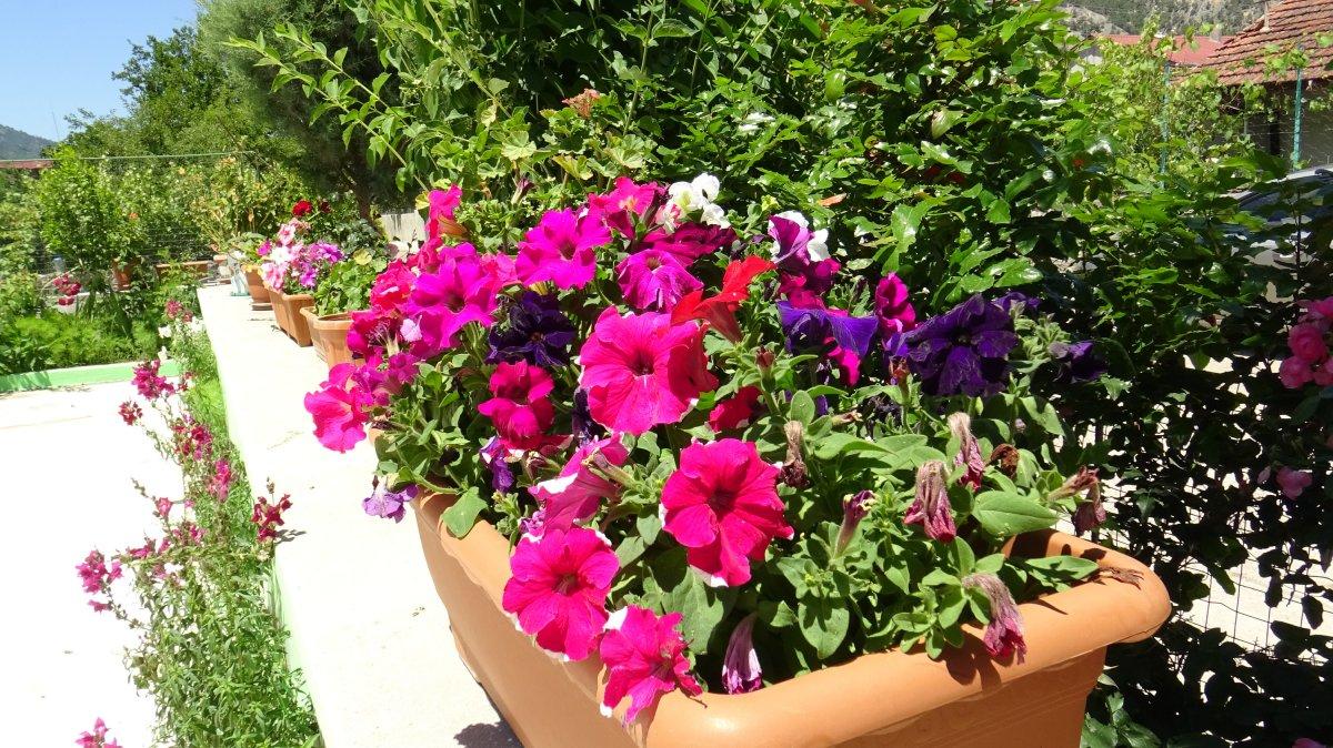 Tokat'ta görev yaptığı camiyi çiçek bahçesine çevirdi