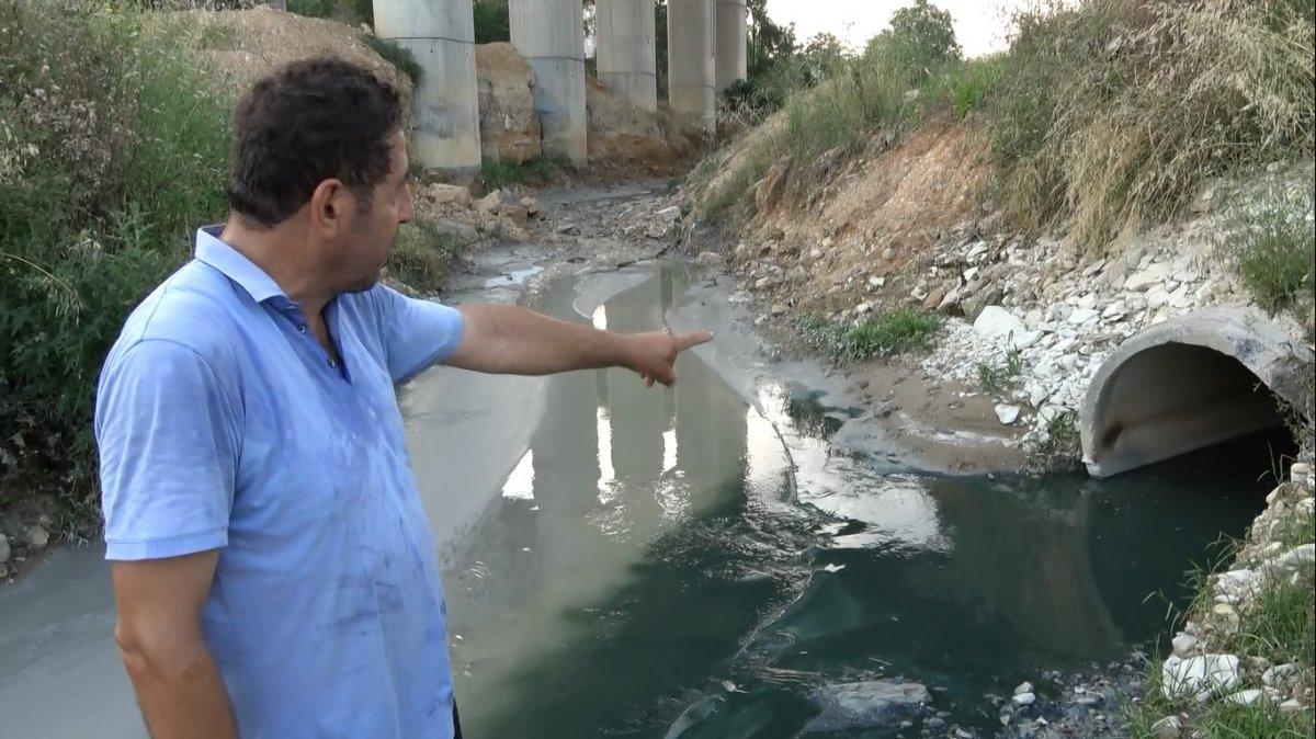 Arnavutköy Şamlar Gölü'ne akan dereye kimyasal atık karıştı