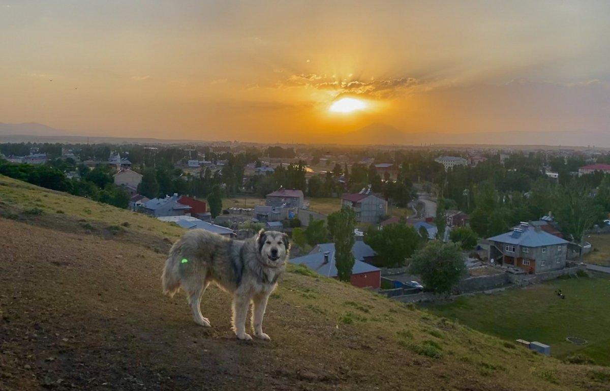 Ağrı'da başka olur gün batımı