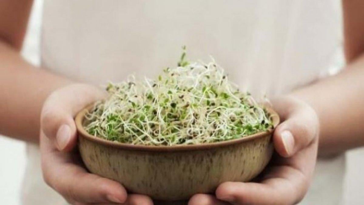 Hamilelikte kaçınılması gereken 14 gıda