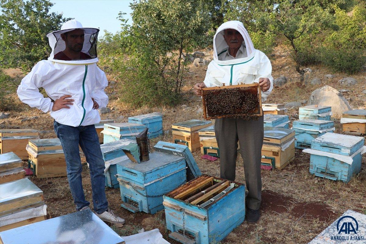 2 bin 973 rakımlı Mereto Dağı'nda 25 yıldır arıcılık yapıyor