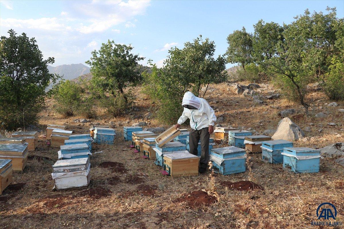 2 bin 973 rakımlı Mereto Dağı'nda 25 yıldır arıcılık yapıyor