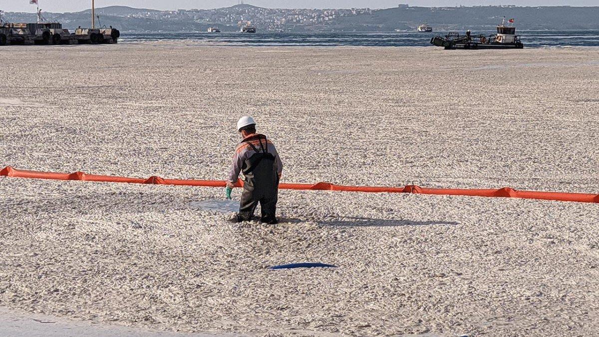 Marmara’da 6 bin 564 metreküp müsilaj temizlendi