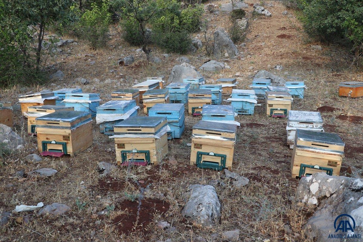 2 bin 973 rakımlı Mereto Dağı'nda 25 yıldır arıcılık yapıyor