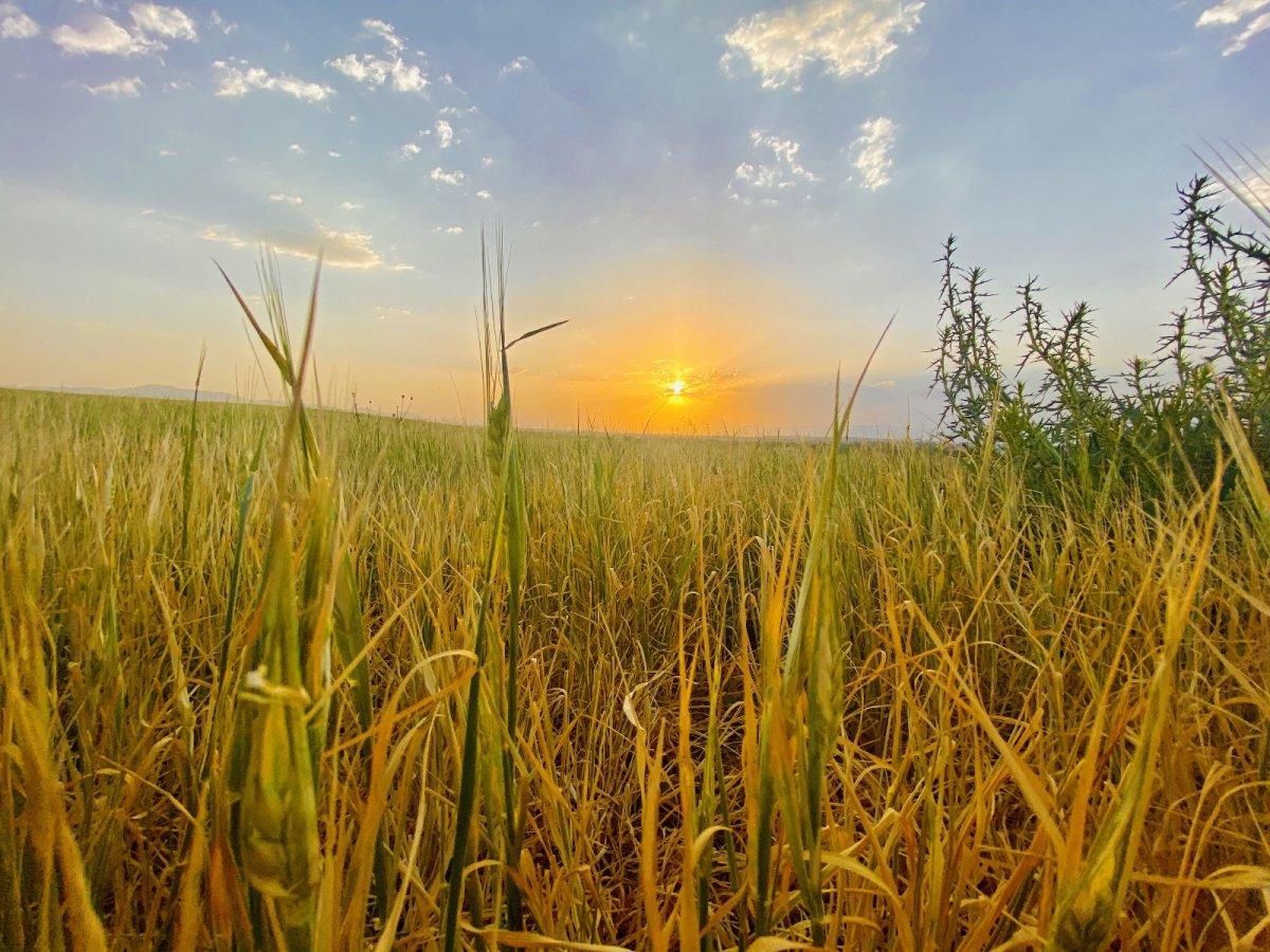 Ağrı'da başka olur gün batımı