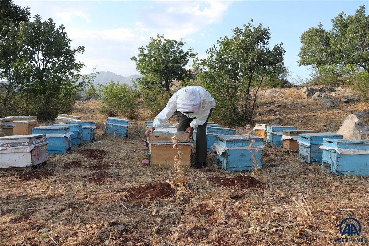 2 bin 973 rakımlı Mereto Dağı'nda 25 yıldır arıcılık yapıyor