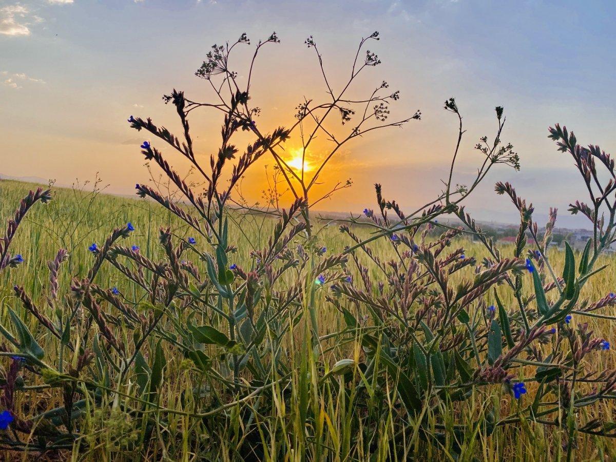 Ağrı'da başka olur gün batımı