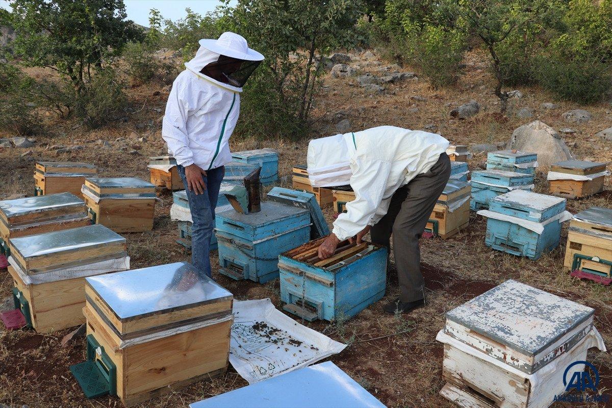 2 bin 973 rakımlı Mereto Dağı'nda 25 yıldır arıcılık yapıyor