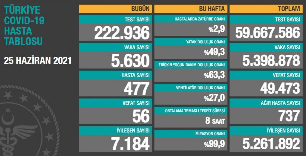 25 Haziran Türkiye'de koronavirüs tablosu