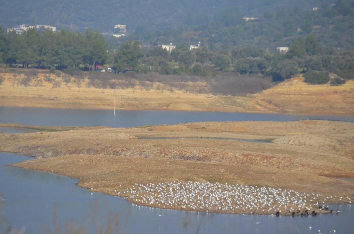 Bodrum Belediye Başkanı Aras: Bu yaz su sıkıntısı yaşayacağız