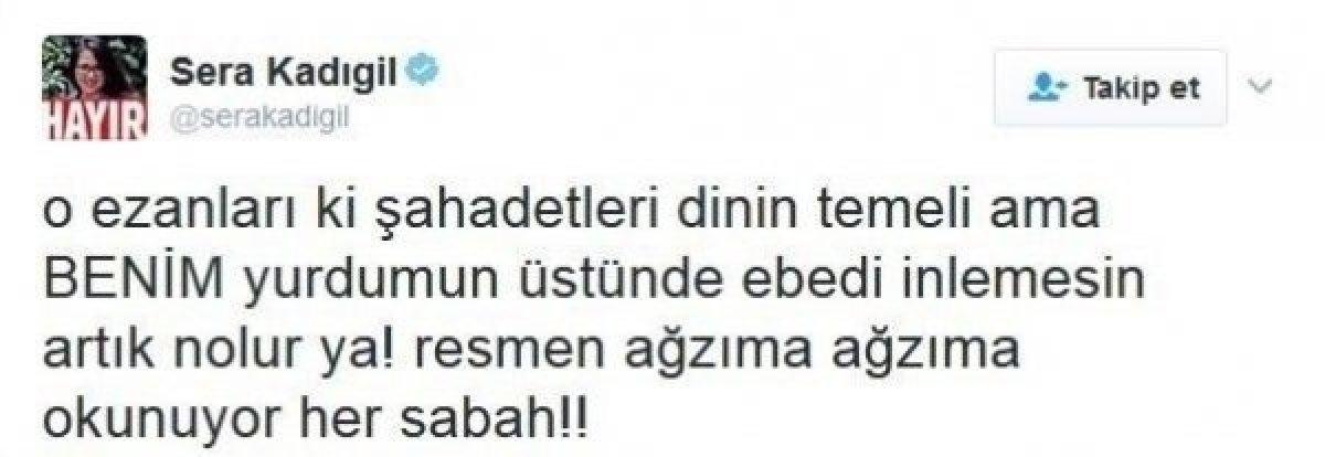 CHP'li Saliha Sera Kadıgil Sütlü, partisinden istifa etti