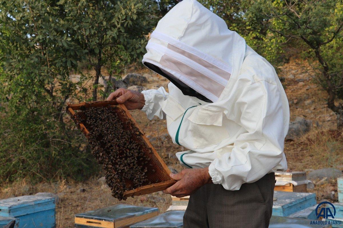 2 bin 973 rakımlı Mereto Dağı'nda 25 yıldır arıcılık yapıyor