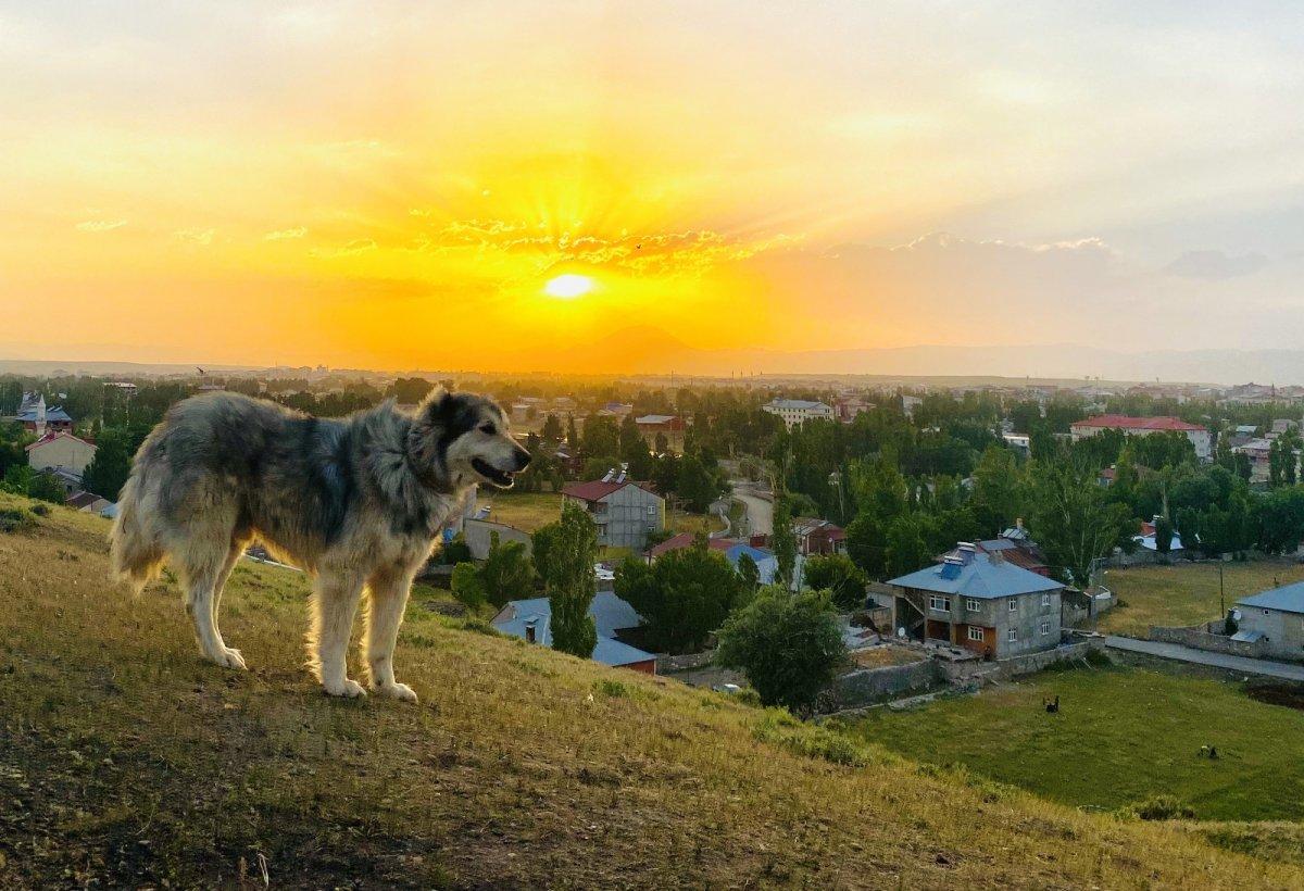 Ağrı'da başka olur gün batımı