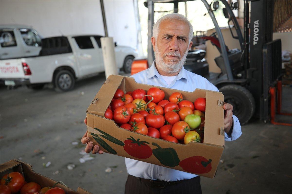 İsrail'den Gazzeli çiftçi ve tüccarlara 'sapsız domates' baskısı