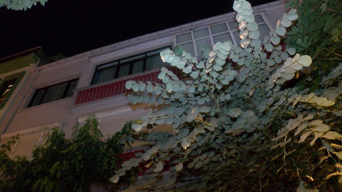 Balkondan düşerek ölen pilotun kız arkadaşı ifade verdi