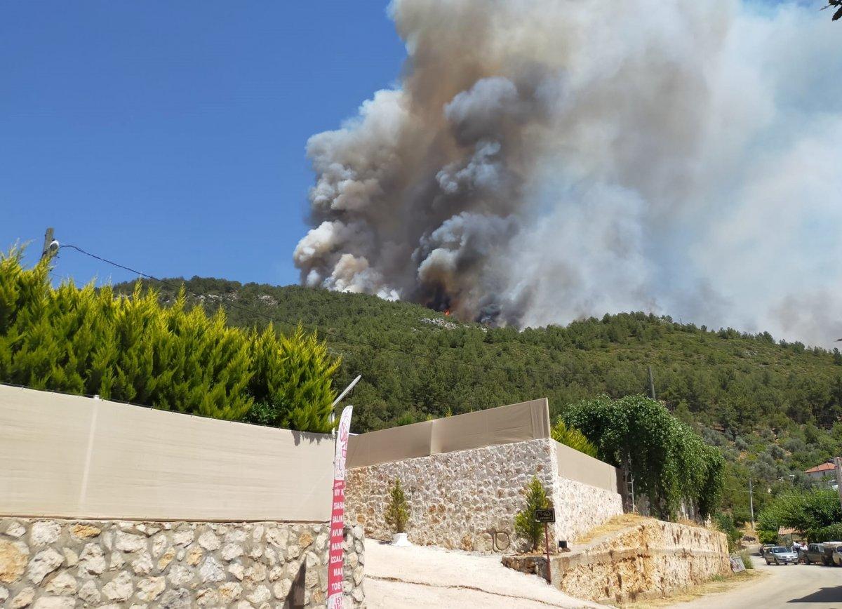 Kaş'ta orman yangını çıktı