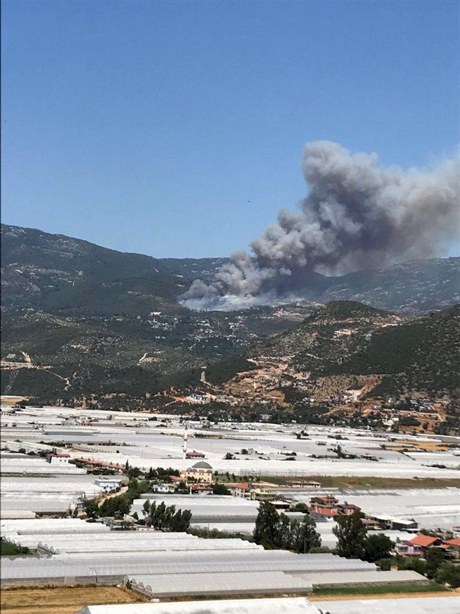 Kaş'ta orman yangını çıktı